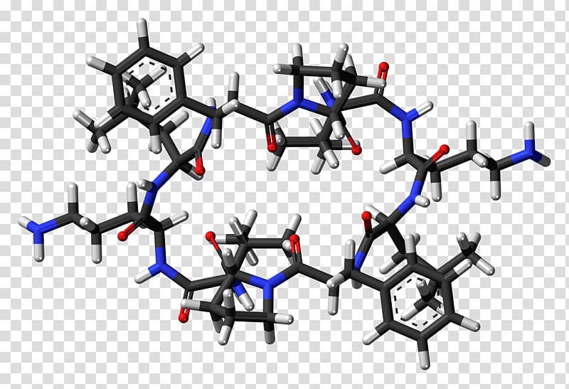 Gramicidin S Nonribosomal peptide Biosynthesis, oil molecules transparent background PNG clipart