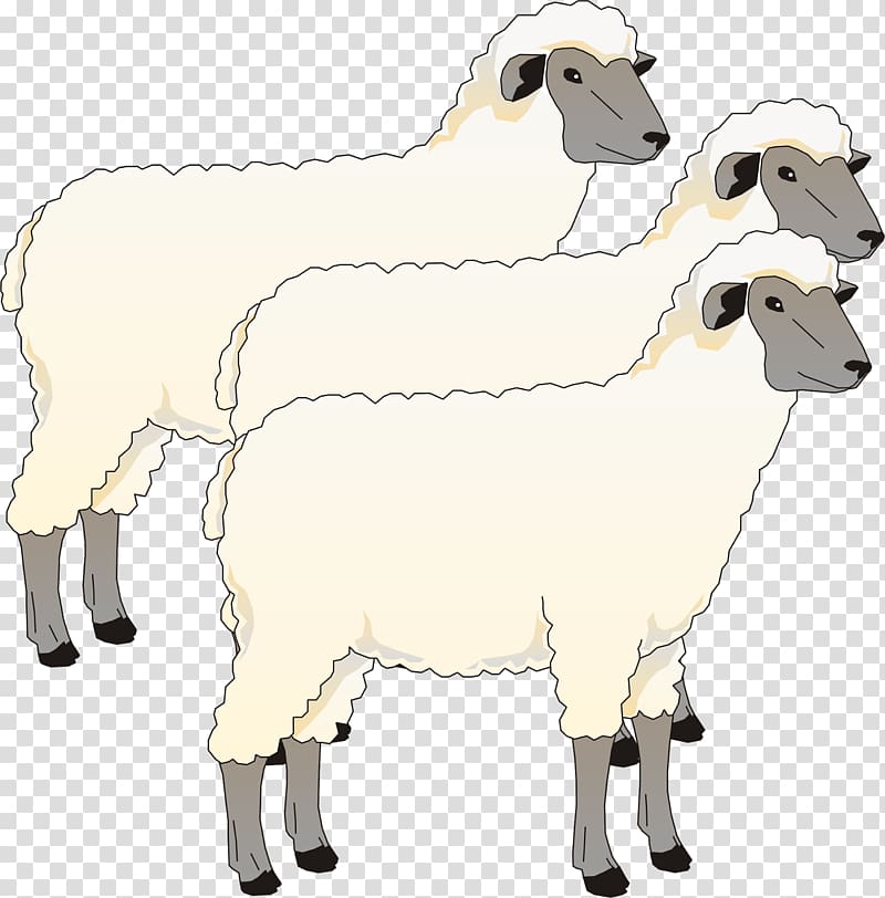 Blackhead Persian sheep Goat Cotswold sheep Southdown sheep , goat transparent background PNG clipart
