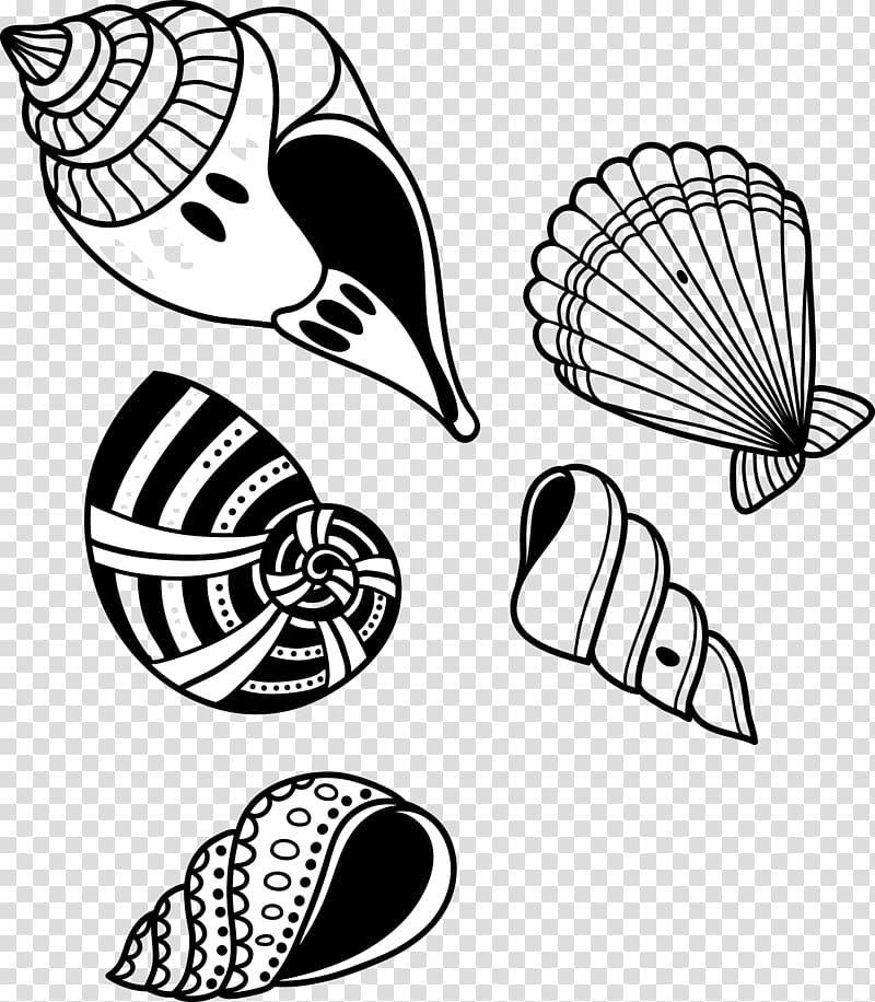 Seashell Conch, Conch shell transparent background PNG clipart