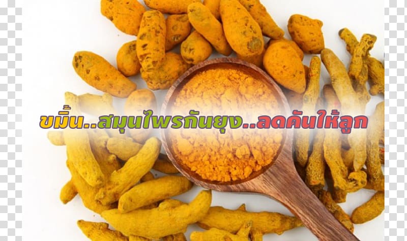 Indian cuisine Turmeric Curcumin Tea, India transparent background PNG clipart