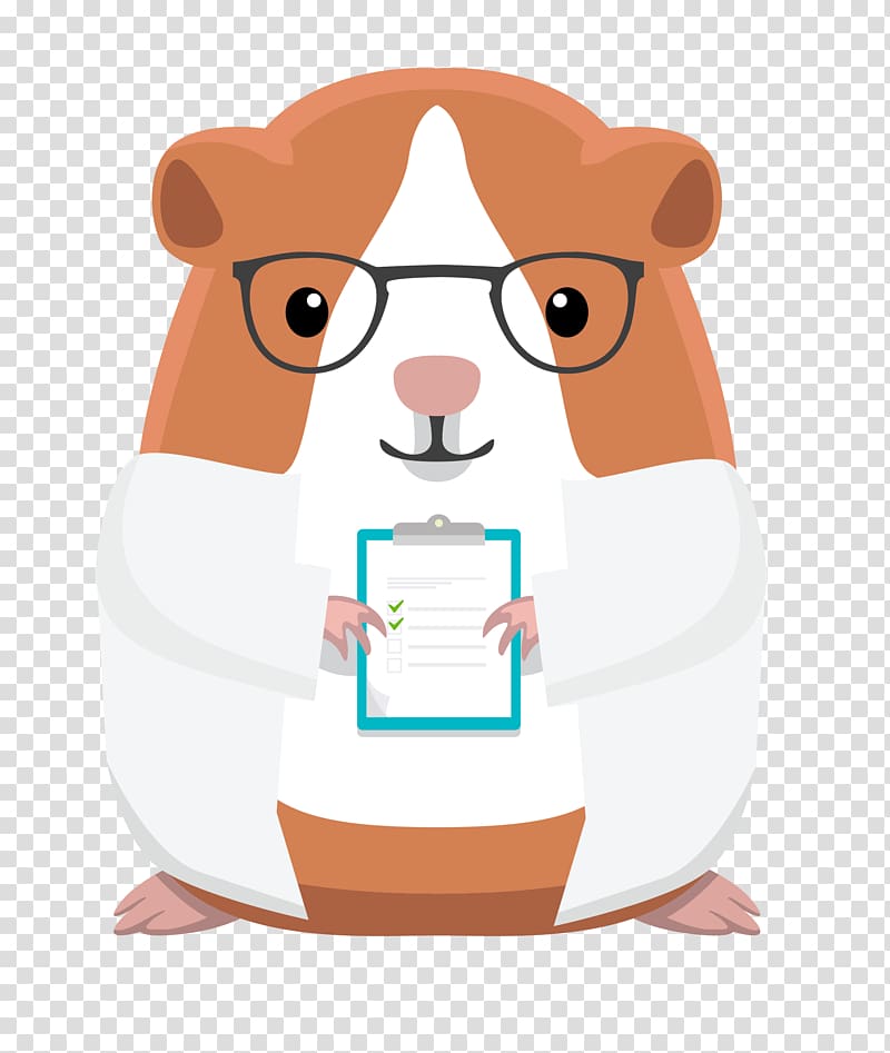 Hamster Product Muroids Cartoon Food, guinea pig cartoon transparent background PNG clipart