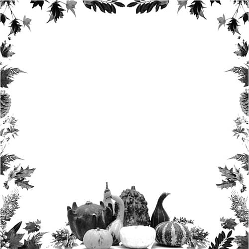 Public holiday Thanksgiving Frames , Free Thanksgiving Border transparent background PNG clipart