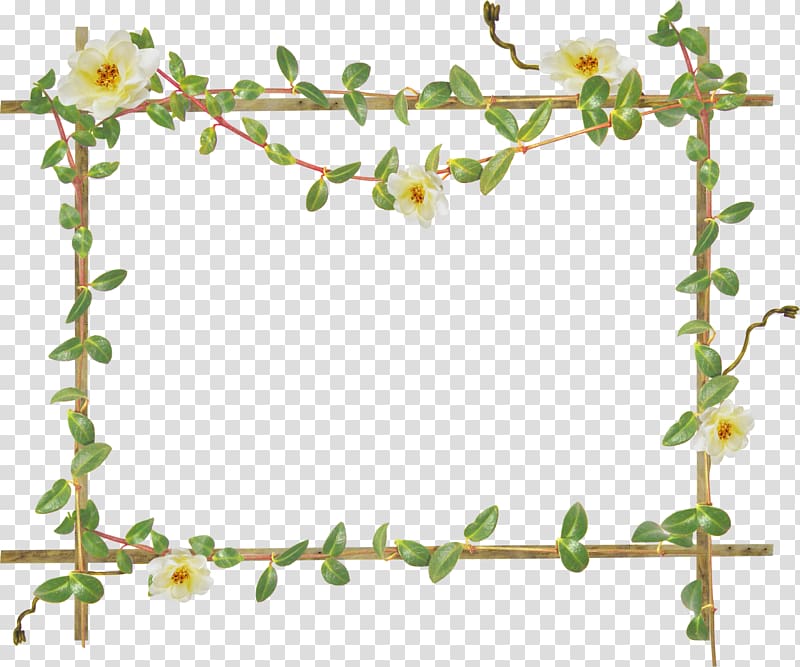 Frames , bamboo transparent background PNG clipart