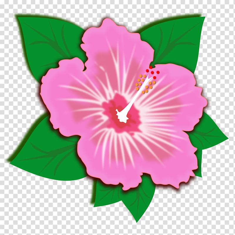 Hibiscus , sprin transparent background PNG clipart
