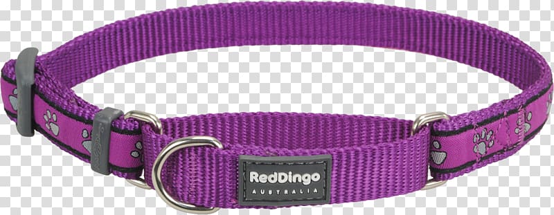 Dog collar Dingo Martingale, Dog Collars transparent background PNG clipart