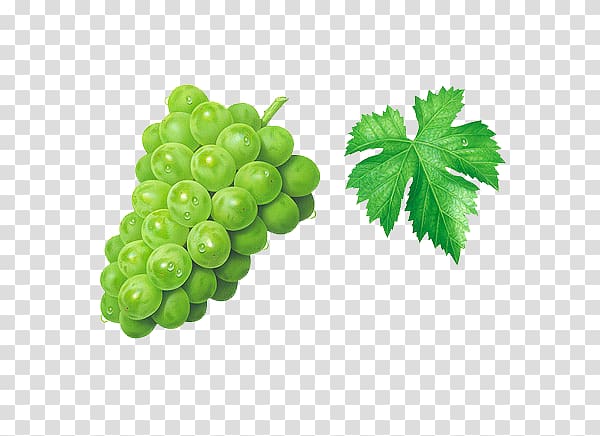 Grape Muscat Seedless fruit, Painted grapes super-clear transparent background PNG clipart