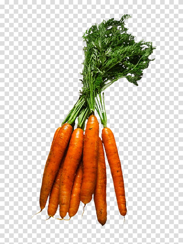 Baby carrot Leaf vegetable Fruit Food, vegetable transparent background PNG clipart