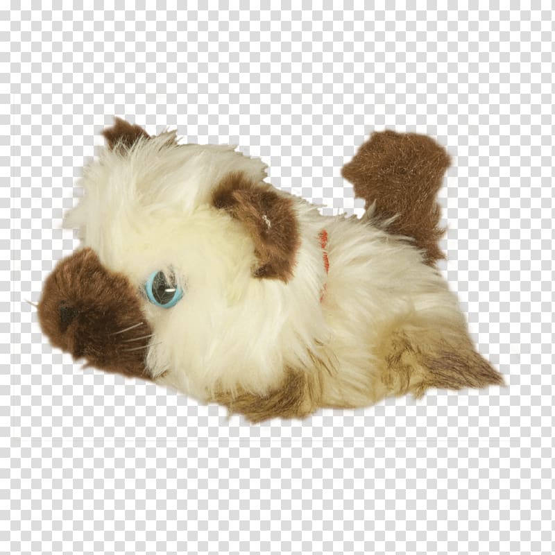 Dog breed Shih Tzu Lhasa Apso Puppy Companion dog, puppy transparent background PNG clipart