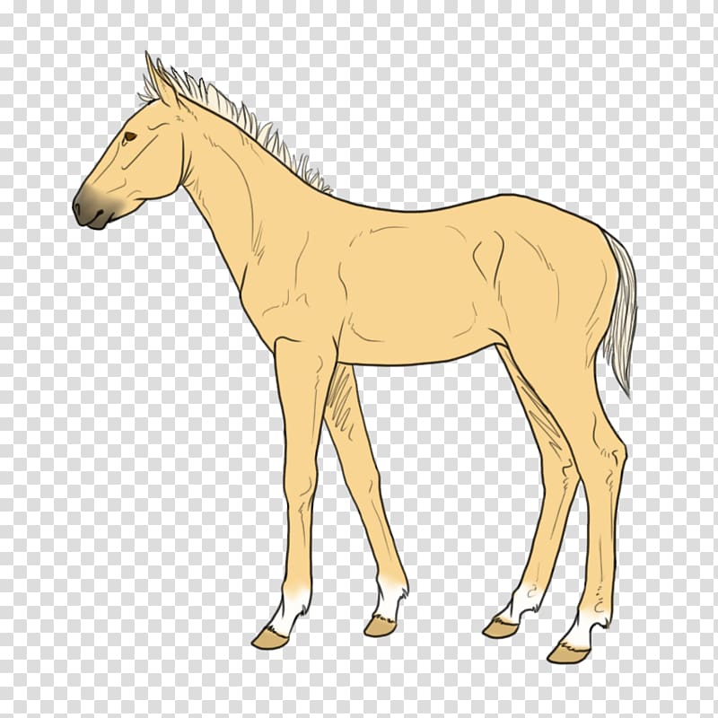 Mule Foal Stallion Mare Mustang, wolf spirit transparent background PNG clipart