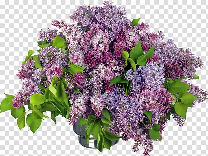 Flower bouquet Lilac Desktop , flower transparent background PNG clipart