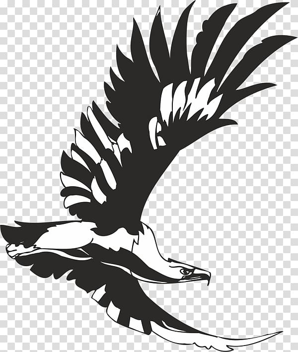 Bird Stencil Eagle Aquila Accipitrinae, Bird transparent background PNG clipart
