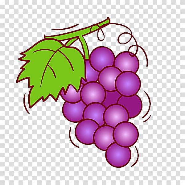 Grape Wine Fruit Illustration, Purple grape transparent background PNG clipart