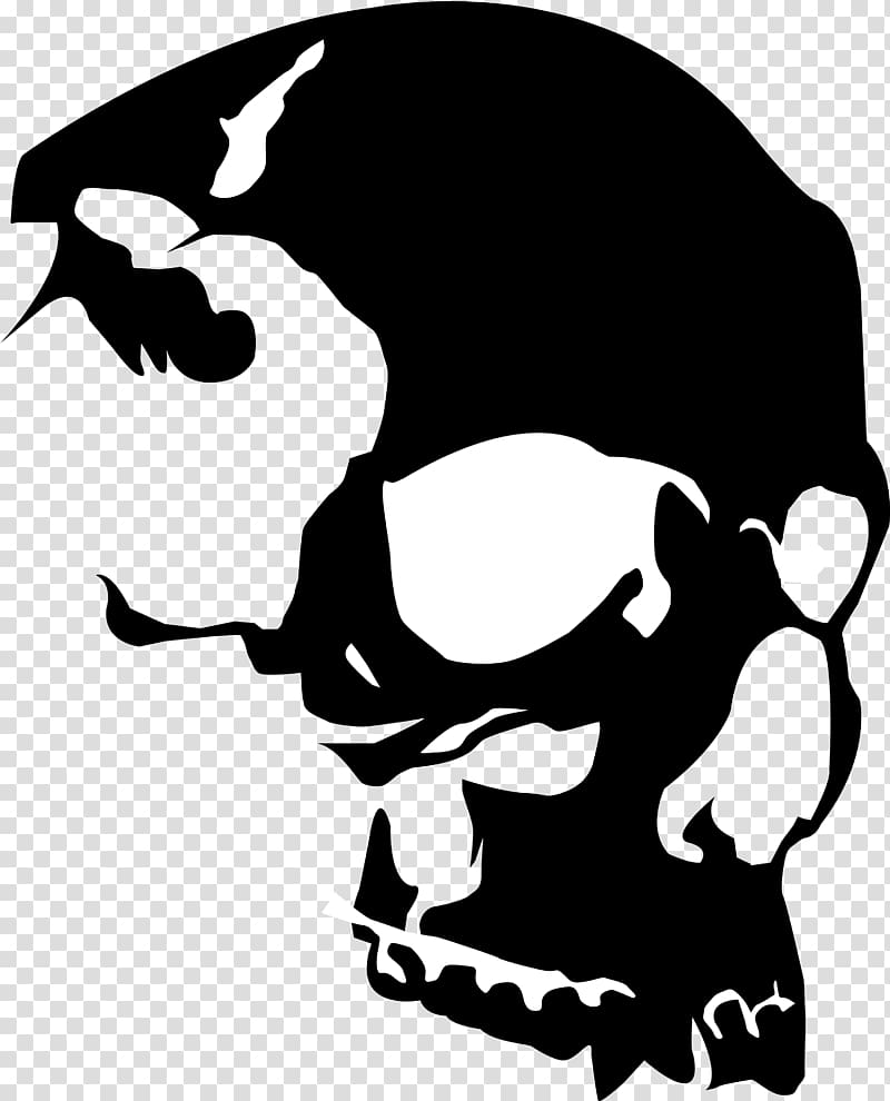 Skull , Skull transparent background PNG clipart
