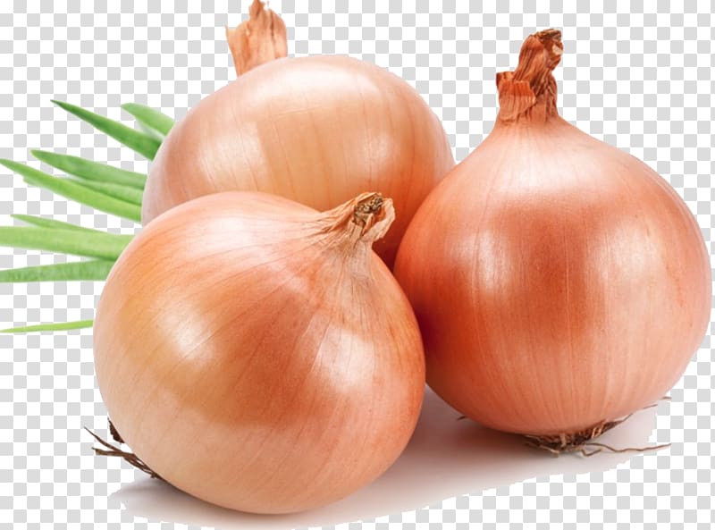 Yellow onion , Onion File transparent background PNG clipart