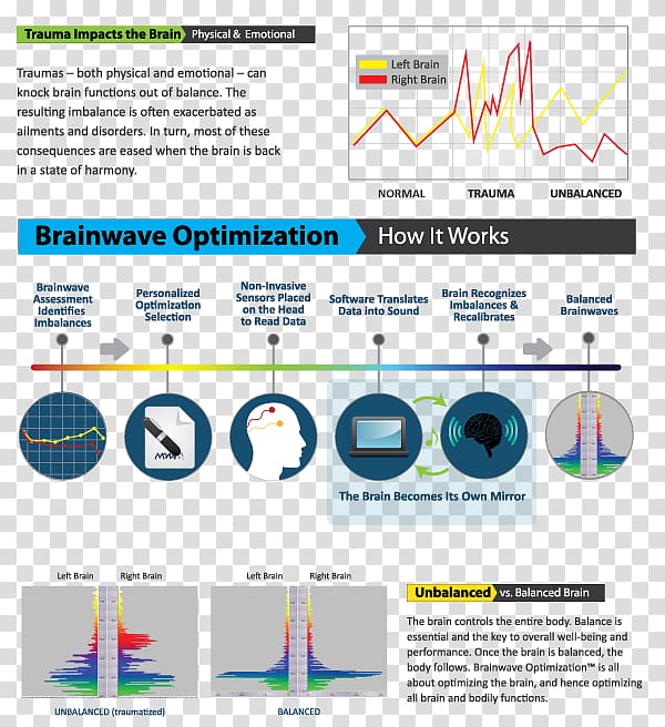 Neural oscillation Brainwave entrainment Alpha wave Human brain, Brain transparent background PNG clipart
