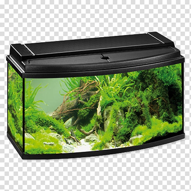 Aquarium Filters Eheim Fishkeeping, fish transparent background PNG clipart