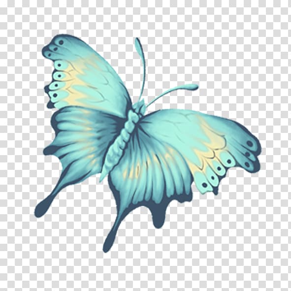 blue swallowtail butterfly illustration, Monarch butterfly Blue, butterfly transparent background PNG clipart