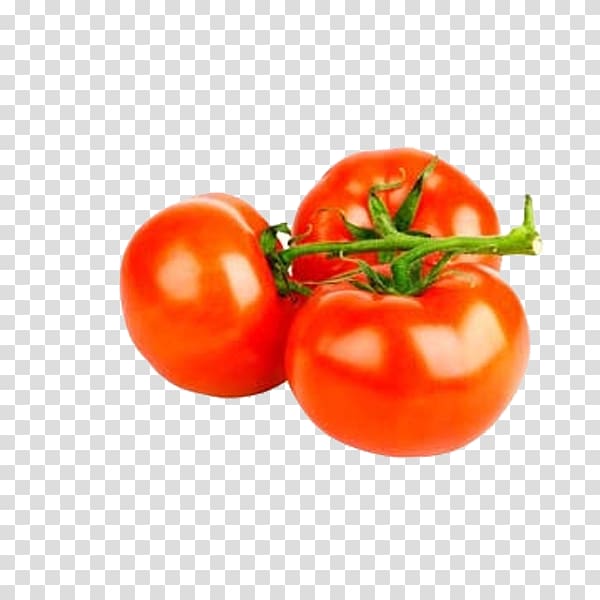 Vegetable Tomato , Red tomatoes Free pull material transparent background PNG clipart