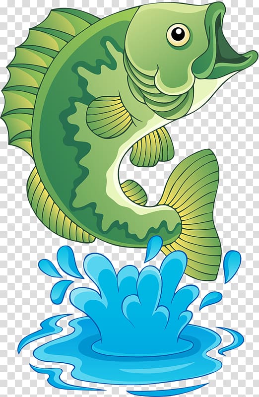 Freshwater fish Bass , waters plashing transparent background PNG clipart