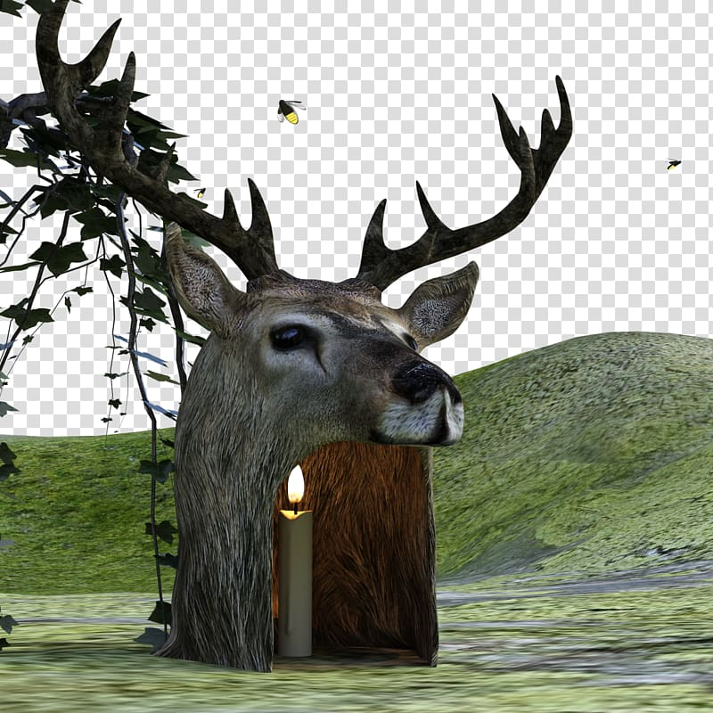 Elk Reindeer Game White-tailed deer, 3D deer transparent background PNG clipart