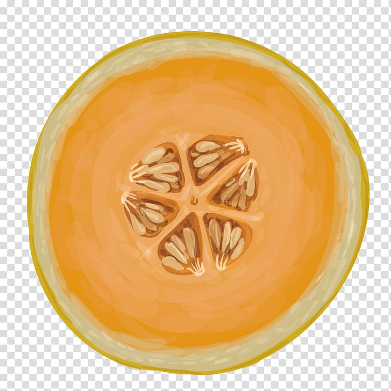 Hami melon Cantaloupe, melon melon transparent background PNG clipart