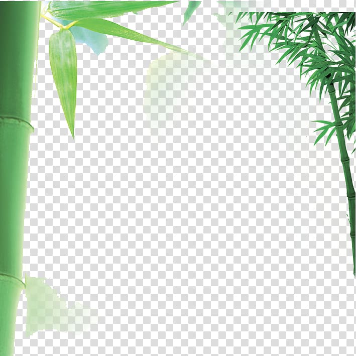 Bamboo , Bamboo Border transparent background PNG clipart