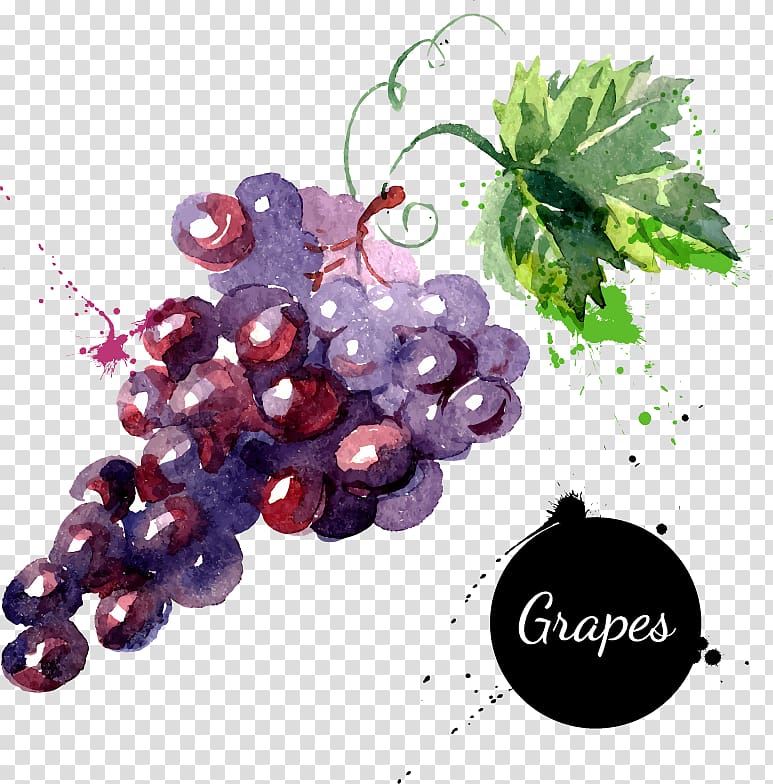 purple grapes , Grape Watercolor painting Drawing , Cartoon fruit grapes hand-painted watercolor transparent background PNG clipart