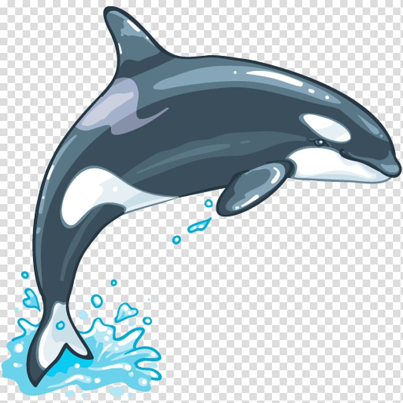 Rough-toothed dolphin Common bottlenose dolphin Tucuxi White-beaked dolphin Sperm whale, whale transparent background PNG clipart