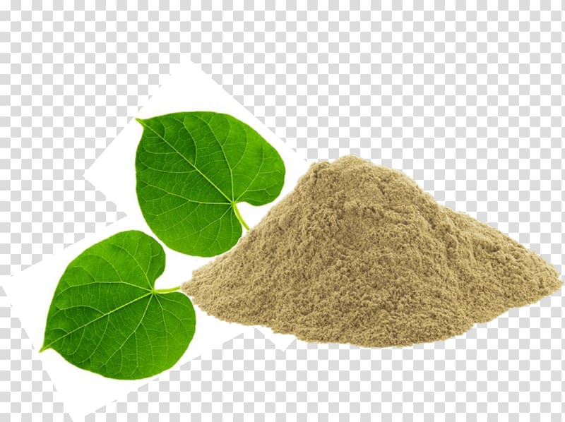 Heart-leaved moonseed Herb Powder Ayurveda Extract, giloy transparent background PNG clipart