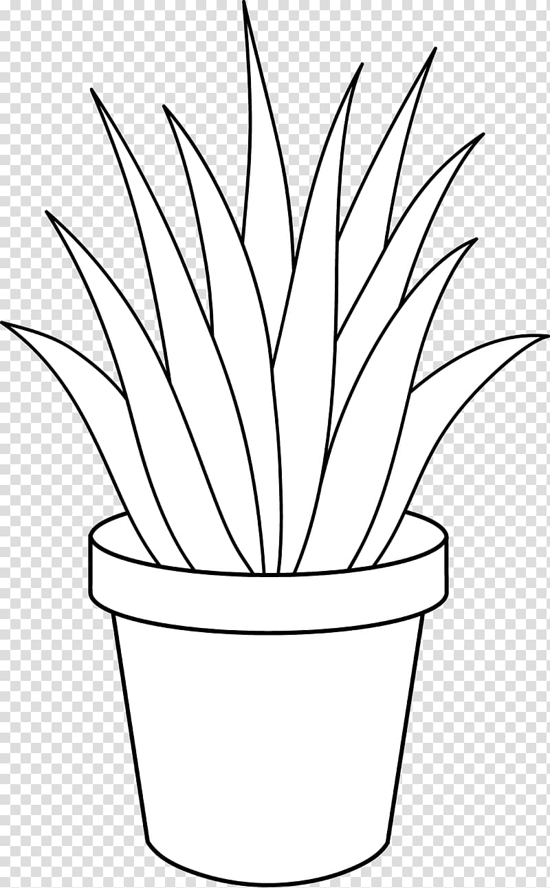 Aloe vera Houseplant Black and white , Black And White Plants transparent background PNG clipart