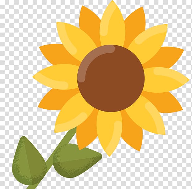 Common sunflower , sun flower transparent background PNG clipart