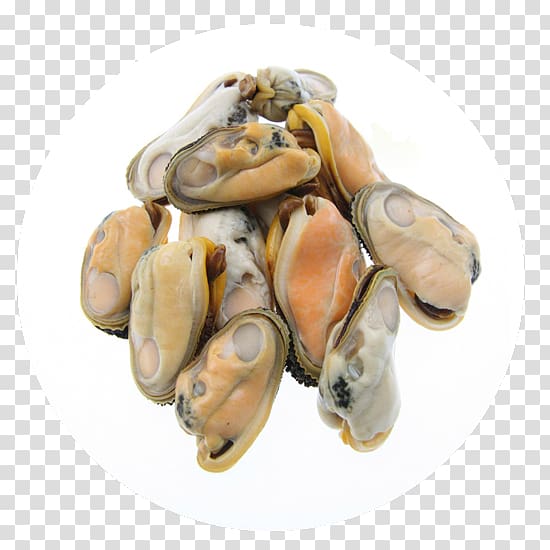Oyster Mussel Clam Mollusc shell Meat, meat transparent background PNG clipart