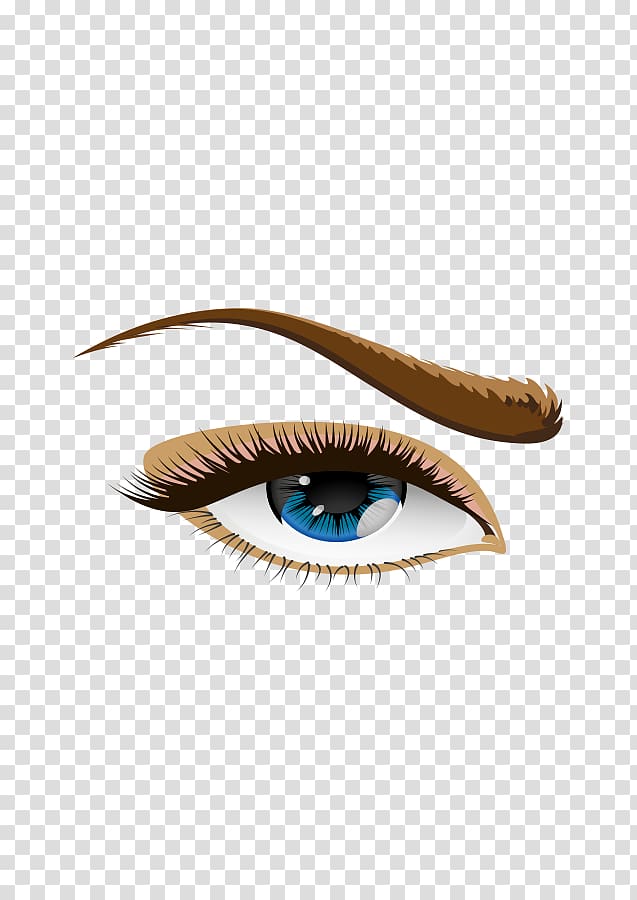 Human eye Eyebrow , rolls transparent background PNG clipart