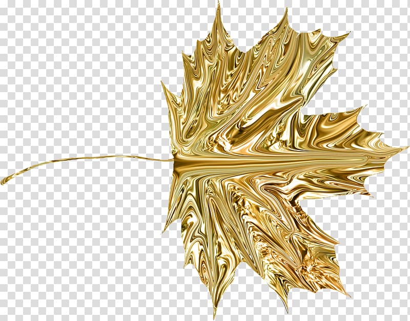 Gold leaf , gold transparent background PNG clipart