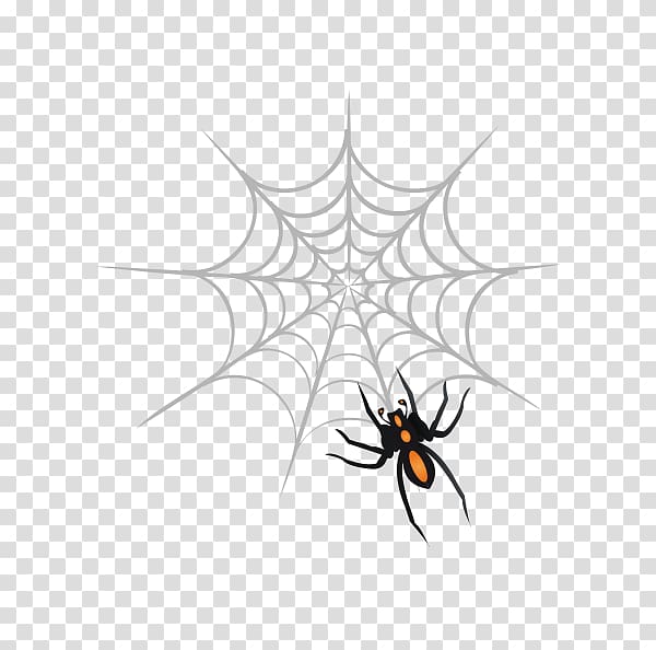 Spider web Web design , spider transparent background PNG clipart