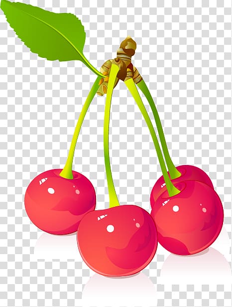 Juice Cherry Fruit Euclidean , Cherry transparent background PNG clipart