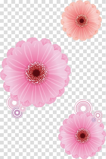 Transvaal daisy Pink Flower Euclidean Rose, Flower transparent background PNG clipart