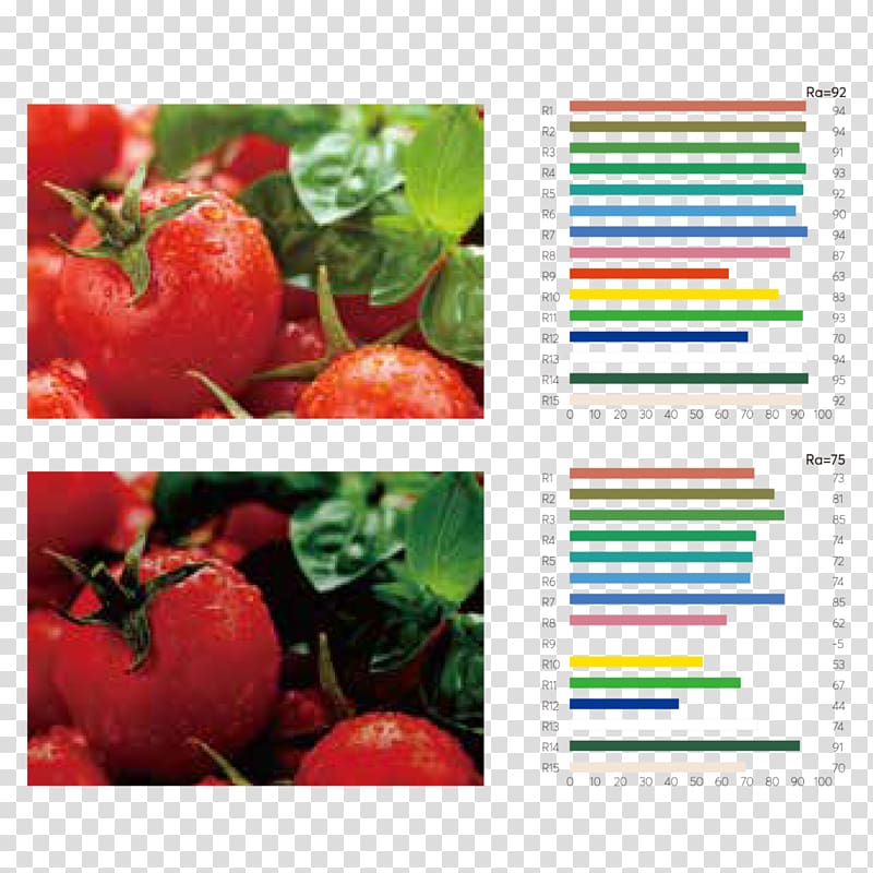 Color rendering index Light-emitting diode Food Industry, Color Rendering Index transparent background PNG clipart