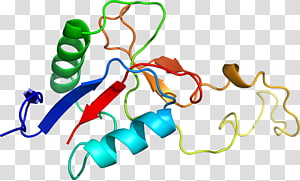 Line Point , line transparent background PNG clipart thumbnail