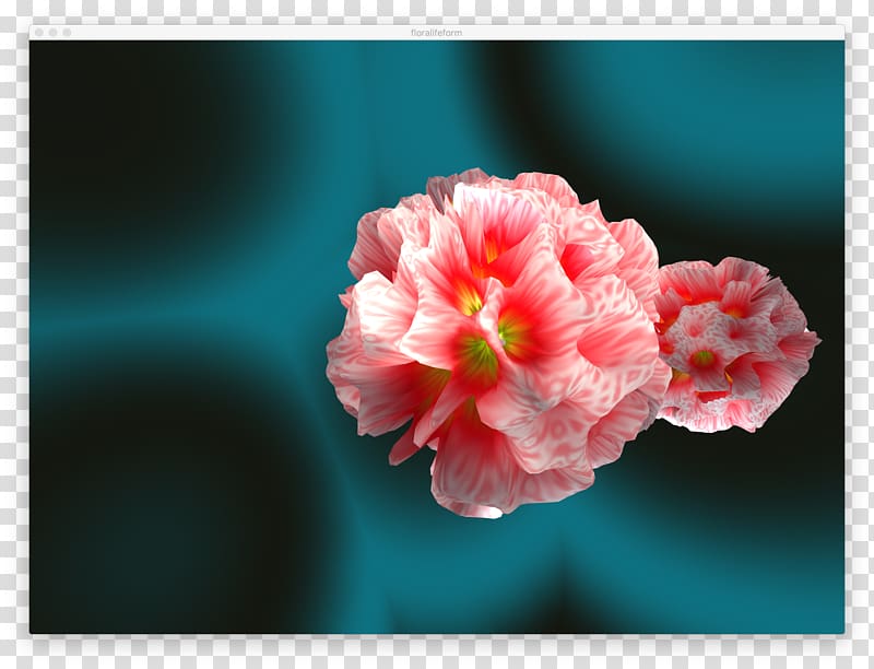 Flowering plant Petal Desktop , mesh shading transparent background PNG clipart