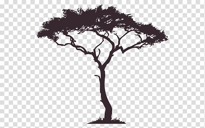 Silhouette African Trees, Silhouette transparent background PNG clipart
