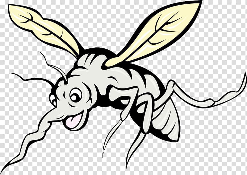 Mosquito Cartoon Illustration, Mosquito transparent background PNG clipart
