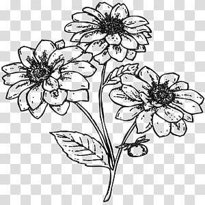 Floral design Cut flowers Flower bouquet , flower transparent background PNG clipart thumbnail