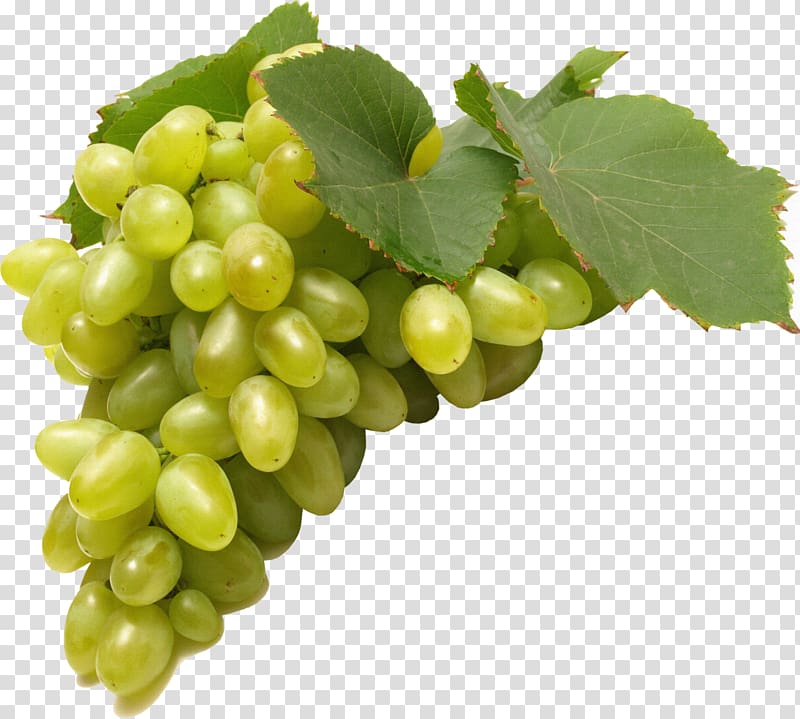 Common Grape Vine Juice , Grapes transparent background PNG clipart