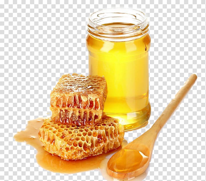 Galau021bi County Tulcea County Bee Honeycomb, Bee honey pot transparent background PNG clipart