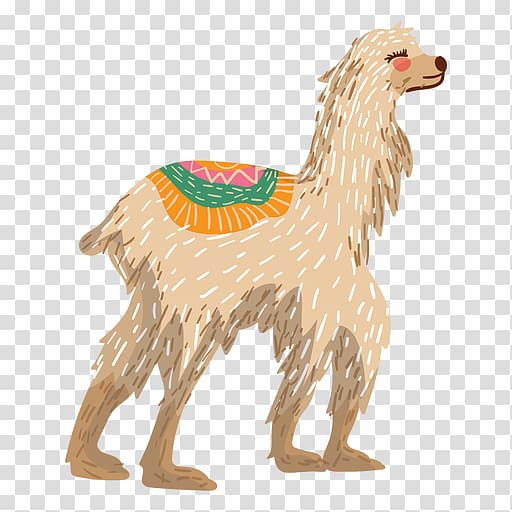 Llama Alpaca Camel Guanaco Illustration, camel transparent background PNG clipart