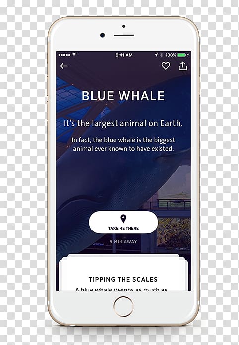 Smartphone American Museum of Natural History Handheld Devices, blue whale transparent background PNG clipart