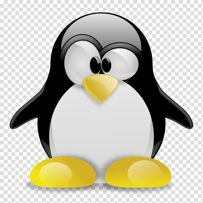 Tux Racer Tux Typing Penguin Linux, linux transparent background PNG clipart