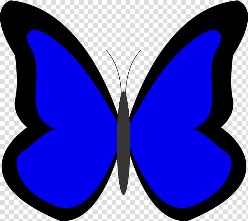 Butterfly Blue Color , Thorough transparent background PNG clipart