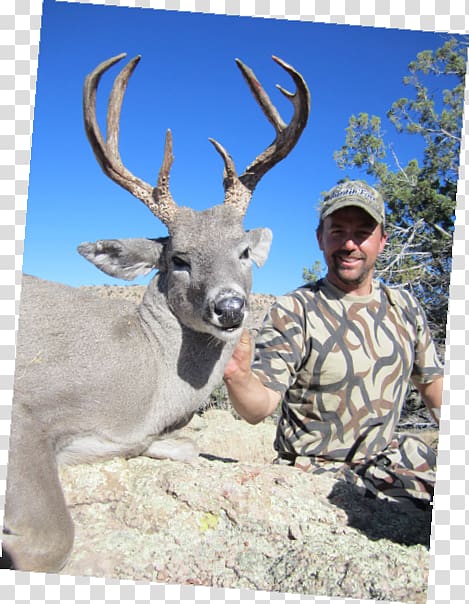 Reindeer White-tailed deer Elk Deer hunting, Deer Hunter transparent background PNG clipart